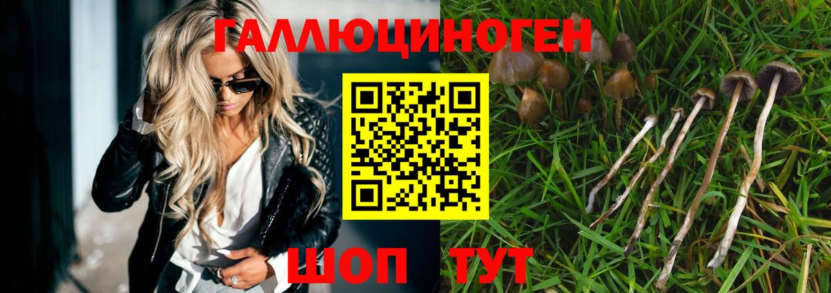 Псков  Псилоцибиновые грибы мухоморы  Вход с VPN 