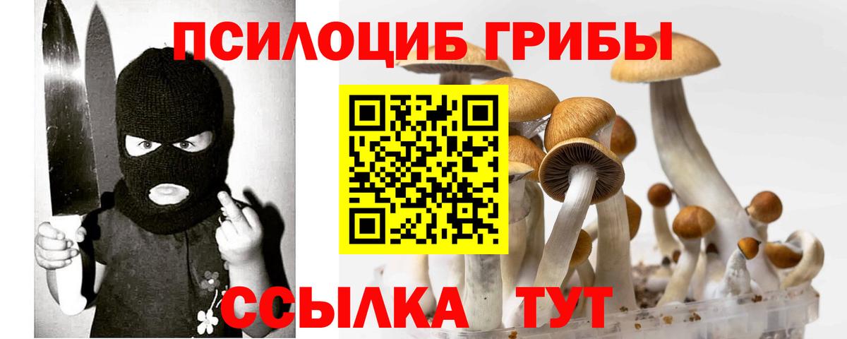 Галлюциногенные грибы GOLDEN TEACHER Псков